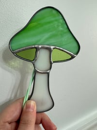 Image 1 of Mushrooms