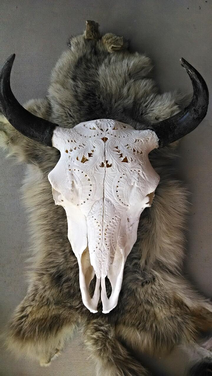 Image of Carved buffalo skull