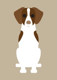 Image 4 of Basenji, Blue Tick Hound, Brittany Spaniel Collection