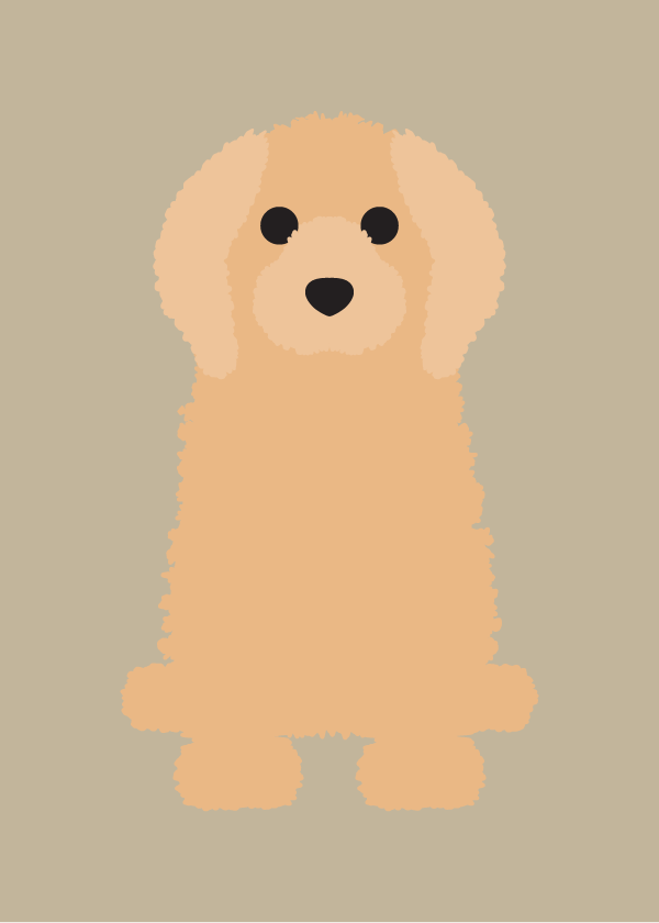 Cockapoo Collection