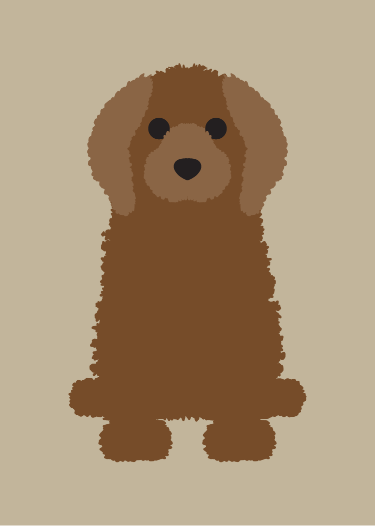 Cockapoo Collection