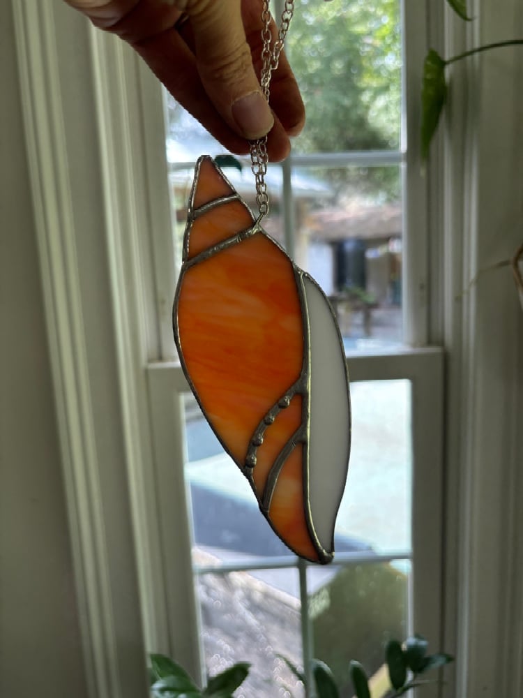 Image of Peach Seashell