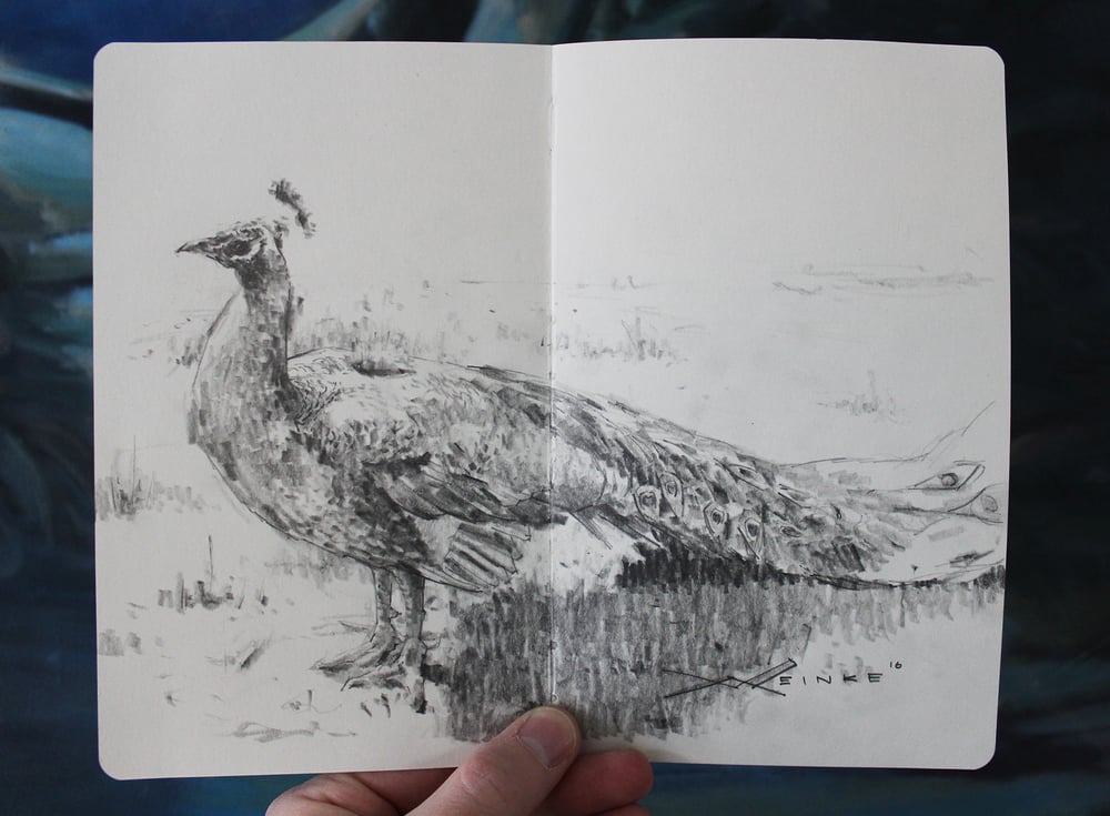 Image of Original Graphite Drawing - Peacock