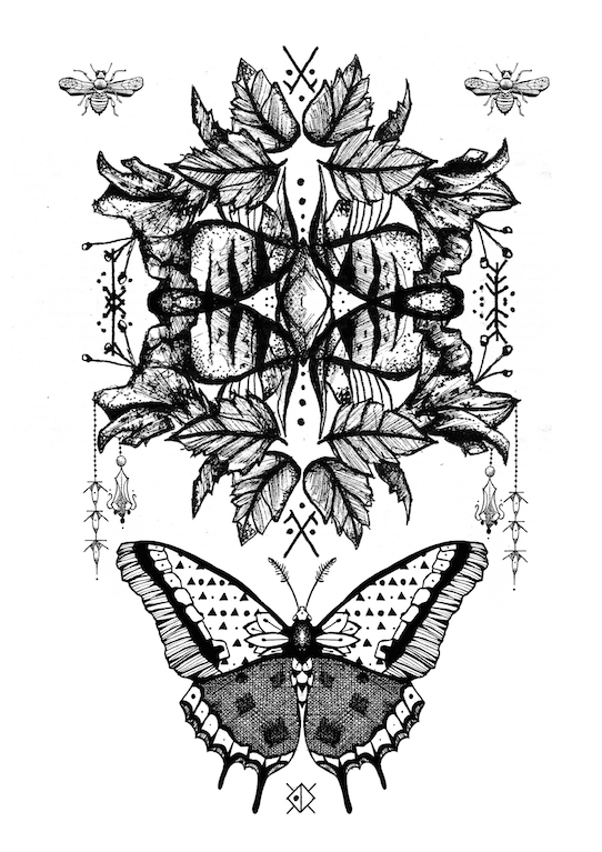 Image of Butterfly | A4 | DIT CHEYENNE
