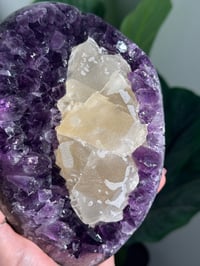 Image 5 of SUGAR COATED CALCITE IN AMETHYST ON STAND -URUGUAY-