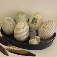 Image 2 of Eggs - various sizes - sold out