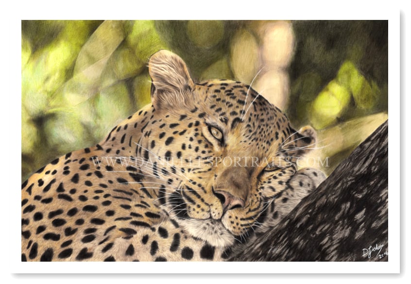 Image of Do Not Disturb - Limited Edition Print