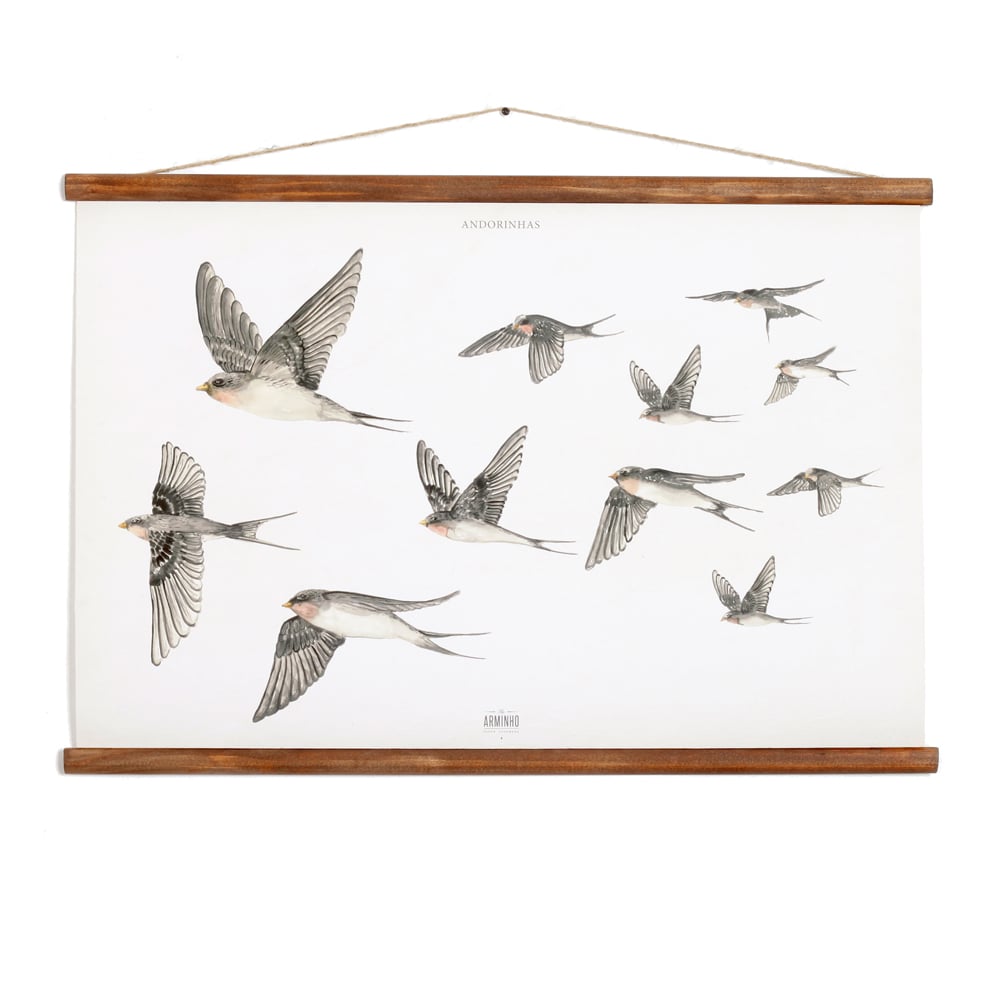 Image of Andorinhas - poster