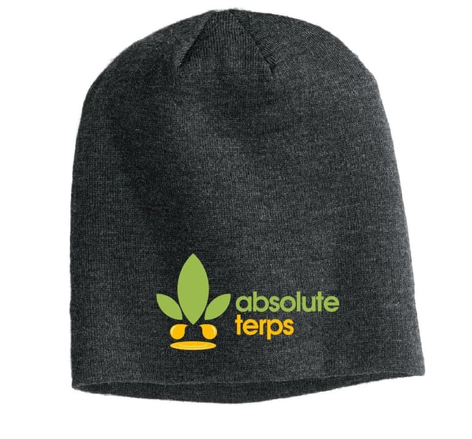 Image of Absolute Terps Slouch Beanie