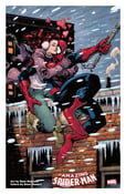 Image of Amazing Spiderman (2) Print