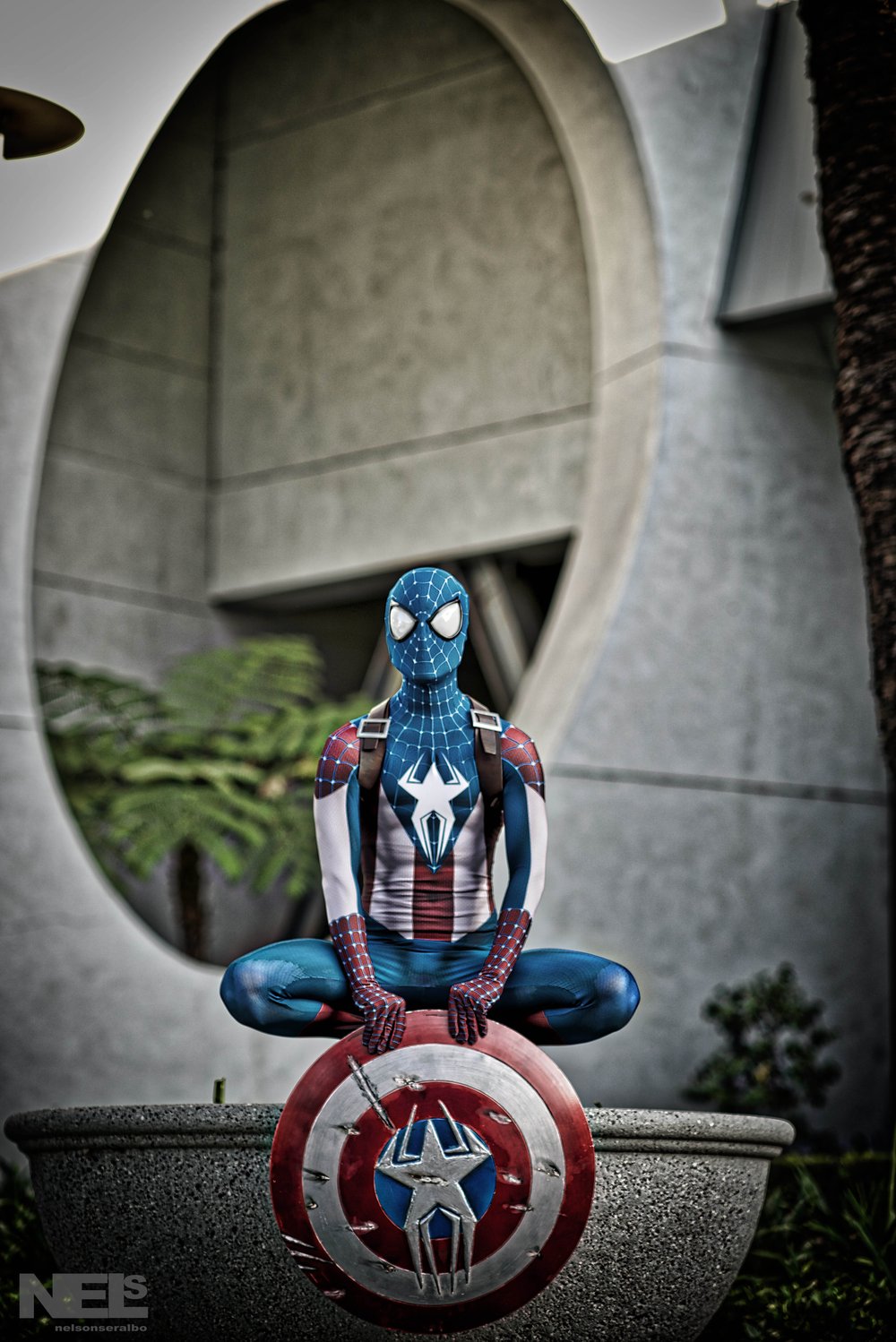 Image of Captain Spider-Man