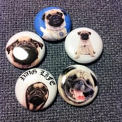 Image of 5 - 1" Pug buttons, magnets, flatbacks, or keychains.