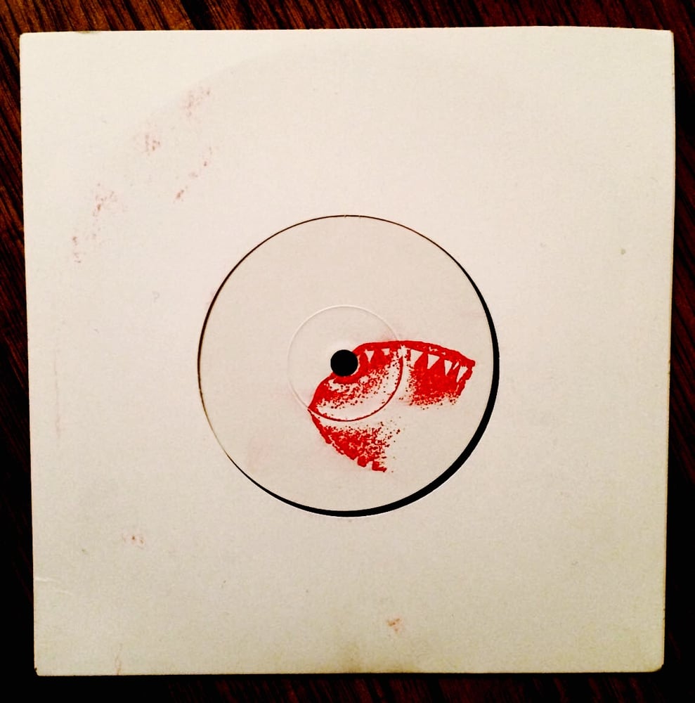 Image of Piano Wire/Hyena Ltd. Edition Split 7" Single