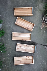 Image 2 of Large cedar planters