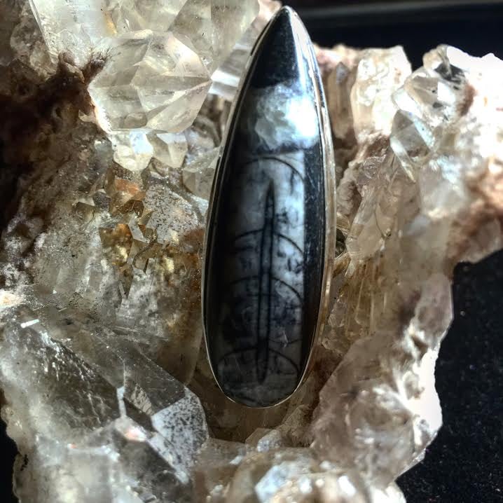 Image of Orthoceras Fossil Sterling Silver  "Tap into the magic of the earliest forms of life energy"
