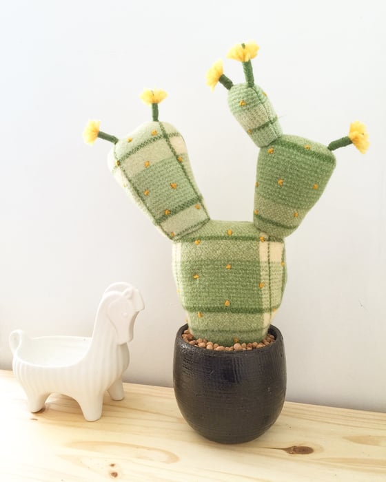 Image of Prickly Pear Large
