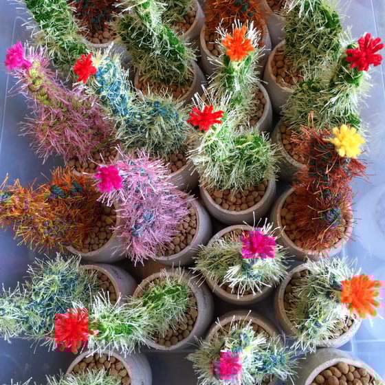 Image of Prickly Pear little fuzzy knitted
