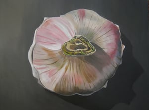 Image of Garlic, Print
