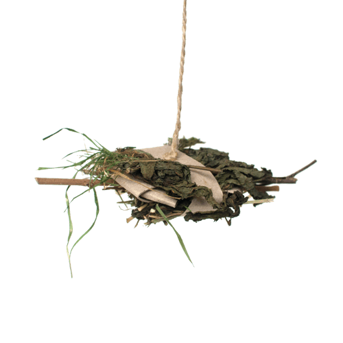 Image of Fresh Forage Hanging Ball Toy