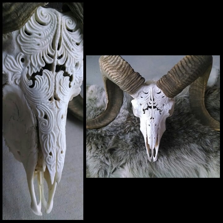 Image of Filigree ram