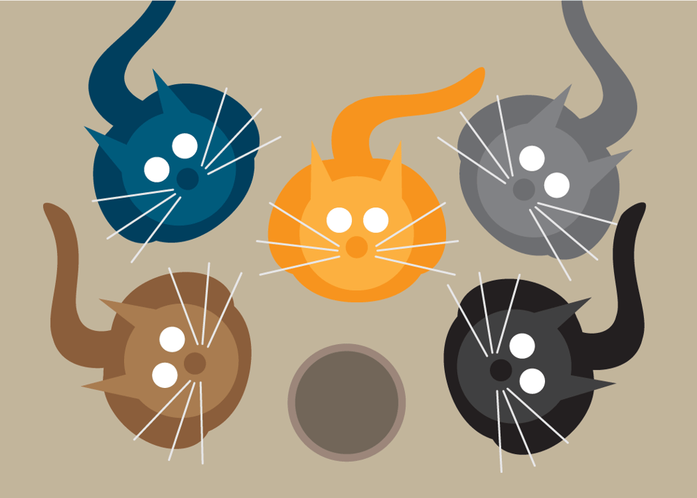 Mulit Cat Collection