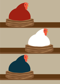 Image 2 of Chicken Collections