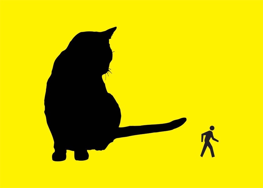 Walking Man Cat Collection