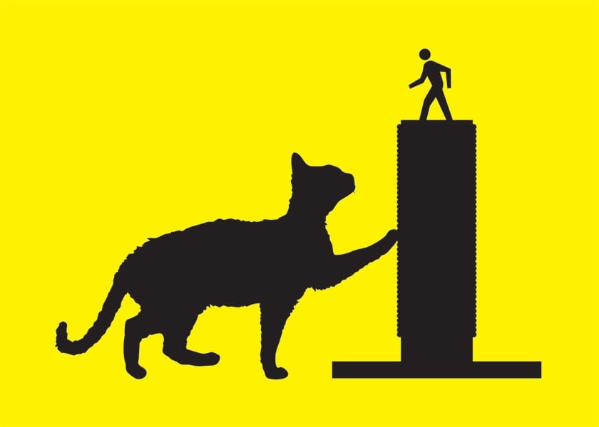 Walking Man Cat Collection