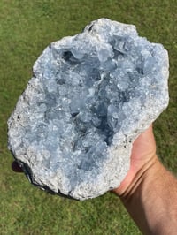 Image 10 of Celestite Cluster #1800