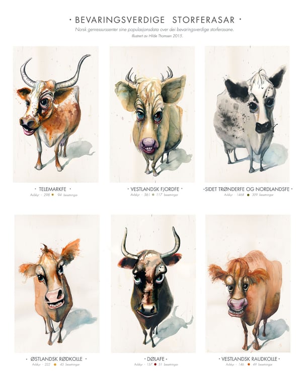 Image of Bevaringsverdige storferasar