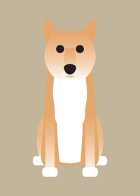 Image 2 of ShetlI, Shiba Inu, Springer Spaniel Collection