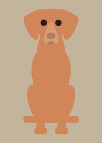 Image 2 of Schipperke, Vizsla, Wheaten Terrier, Westie Collection