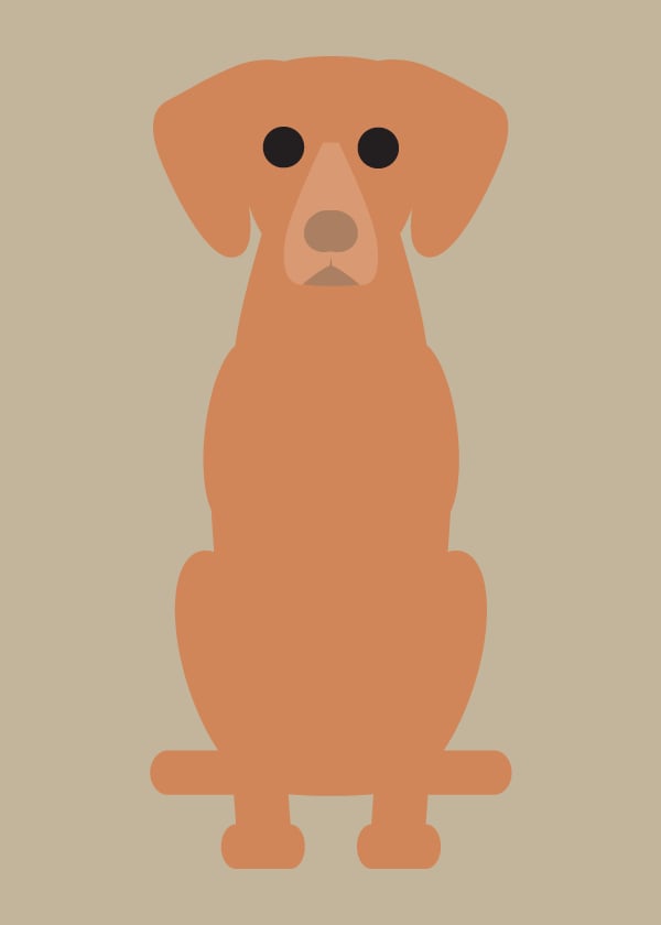 Schipperke, Vizsla, Wheaten Terrier, Westie Collection