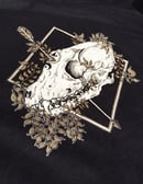 Image 2 of Bestiary—Kitsune