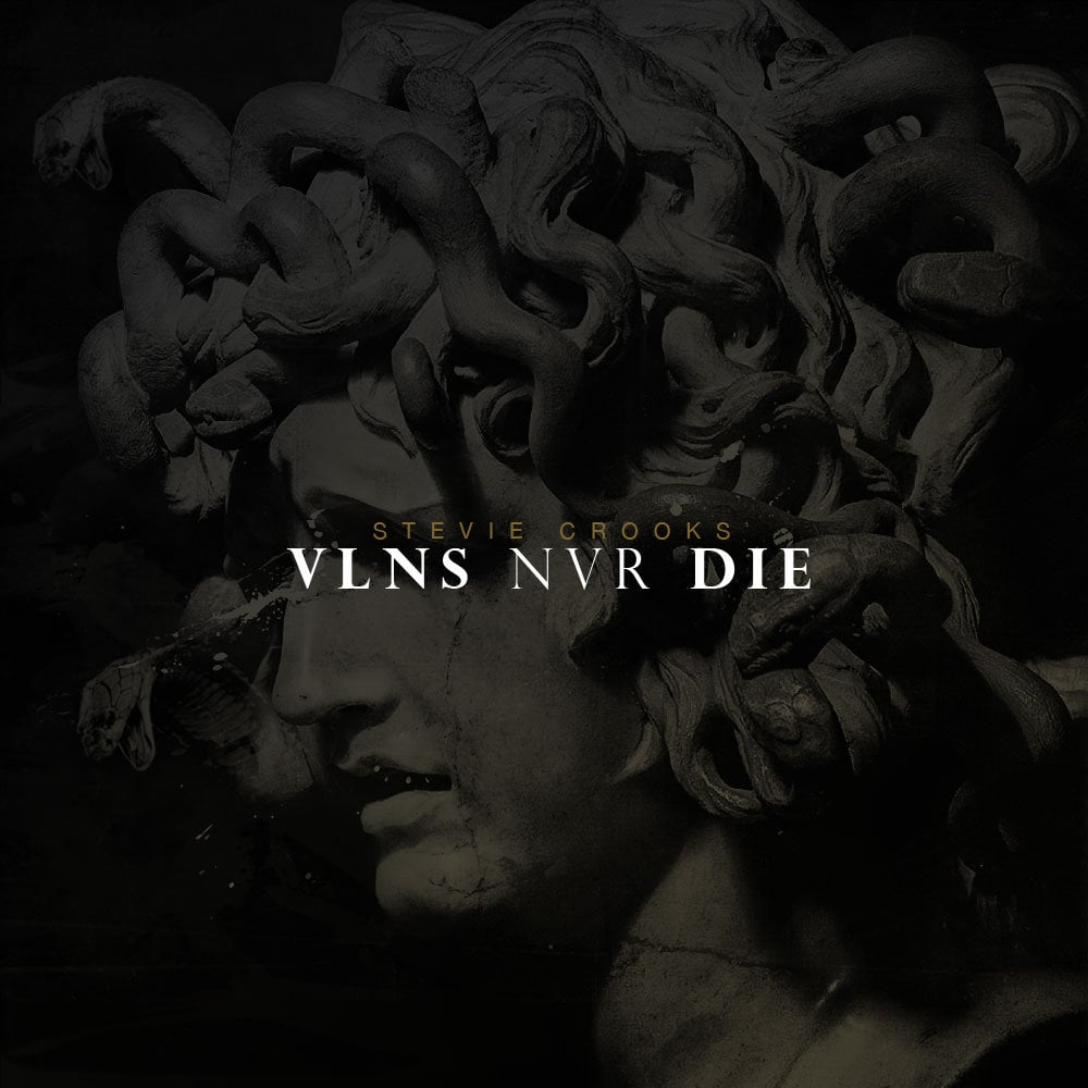 Image of VLNS NVR DIE