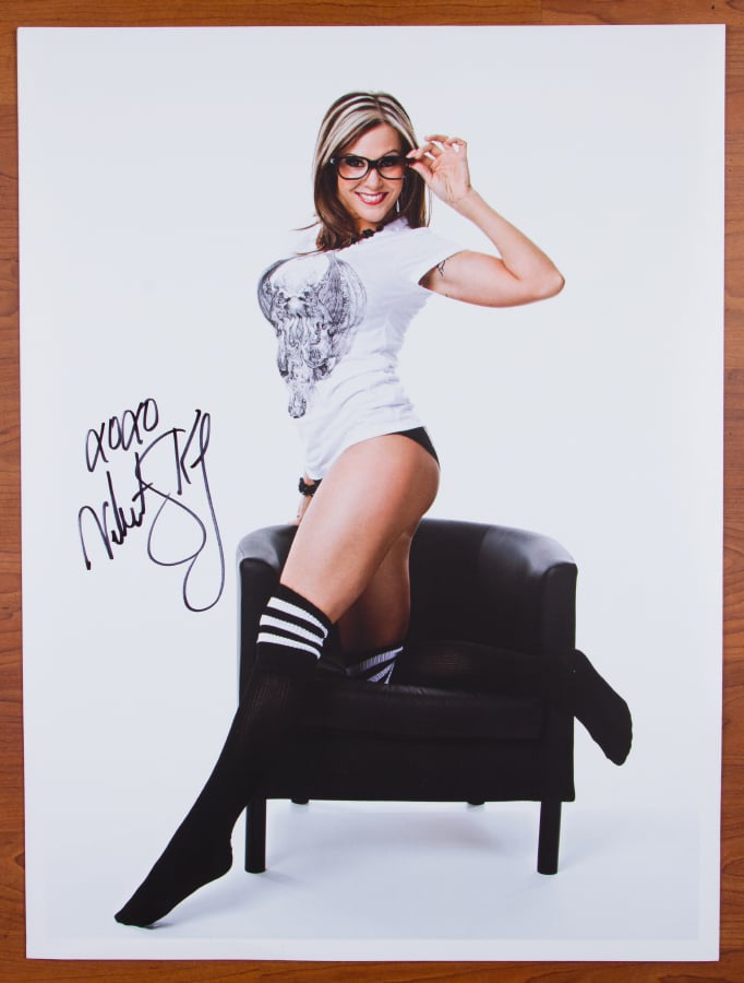 Image of Velvet Sky 18x24 Autographed Gamer Girl Poster
