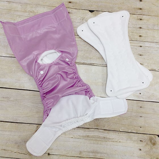 Image of Cloth Dog Diaper Shell and Soaker - Color: Orchid - Small (approx. 12-22lbs)