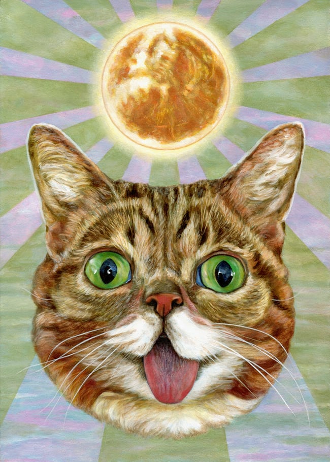 Solar BUB