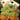 CactusCubs Sticker Pack