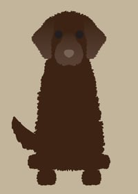 Image 1 of Portuguese Water Dog Collection