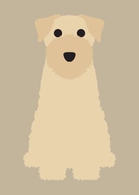 Image 3 of Schipperke, Vizsla, Wheaten Terrier, Westie Collection