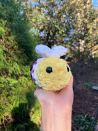 Image 2 of baby nonbinary bee