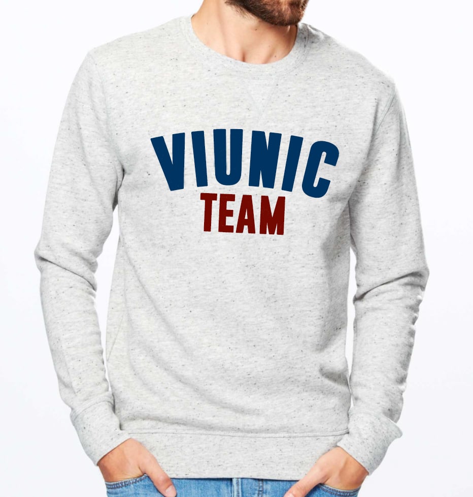 Image of VIUNIC TEAM