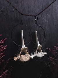 Image 1 of statement vertebra hangers