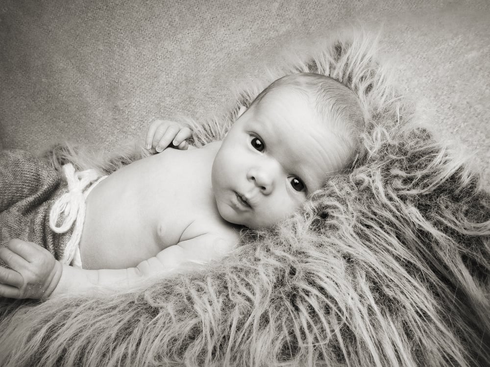 Image of Newborn simplicity mini session