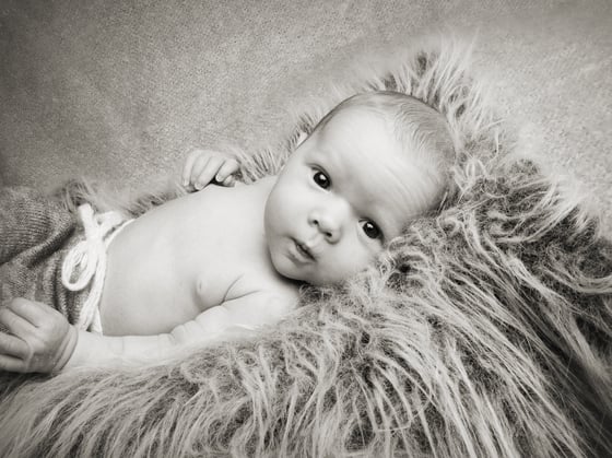 Image of Newborn simplicity mini session