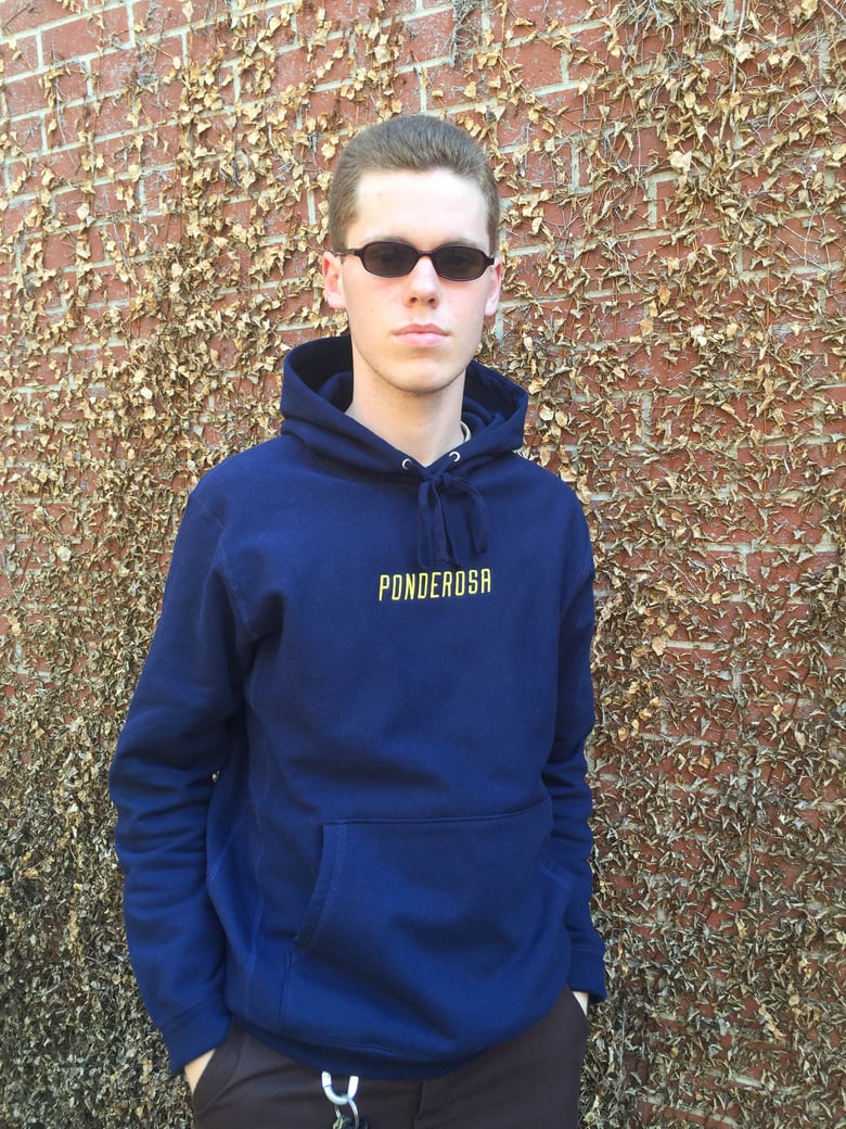 Image of Ponderosa shifty logo hoodie 