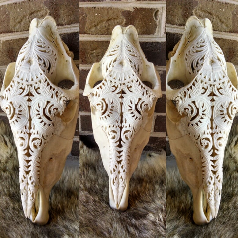 Image of Carved horse skull