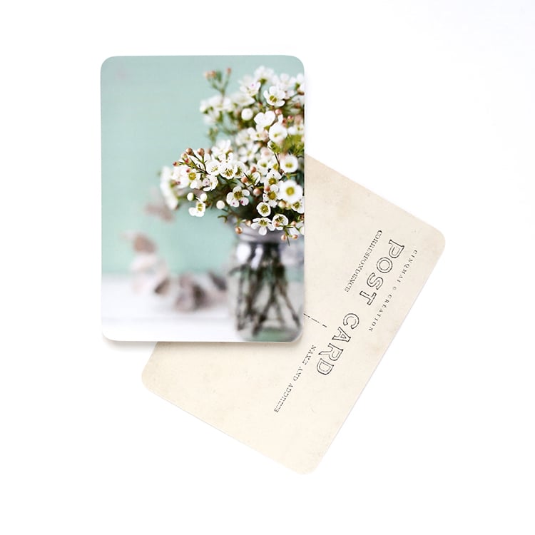 Image of Carte Postale FLOWERS / WHITE AND MINT