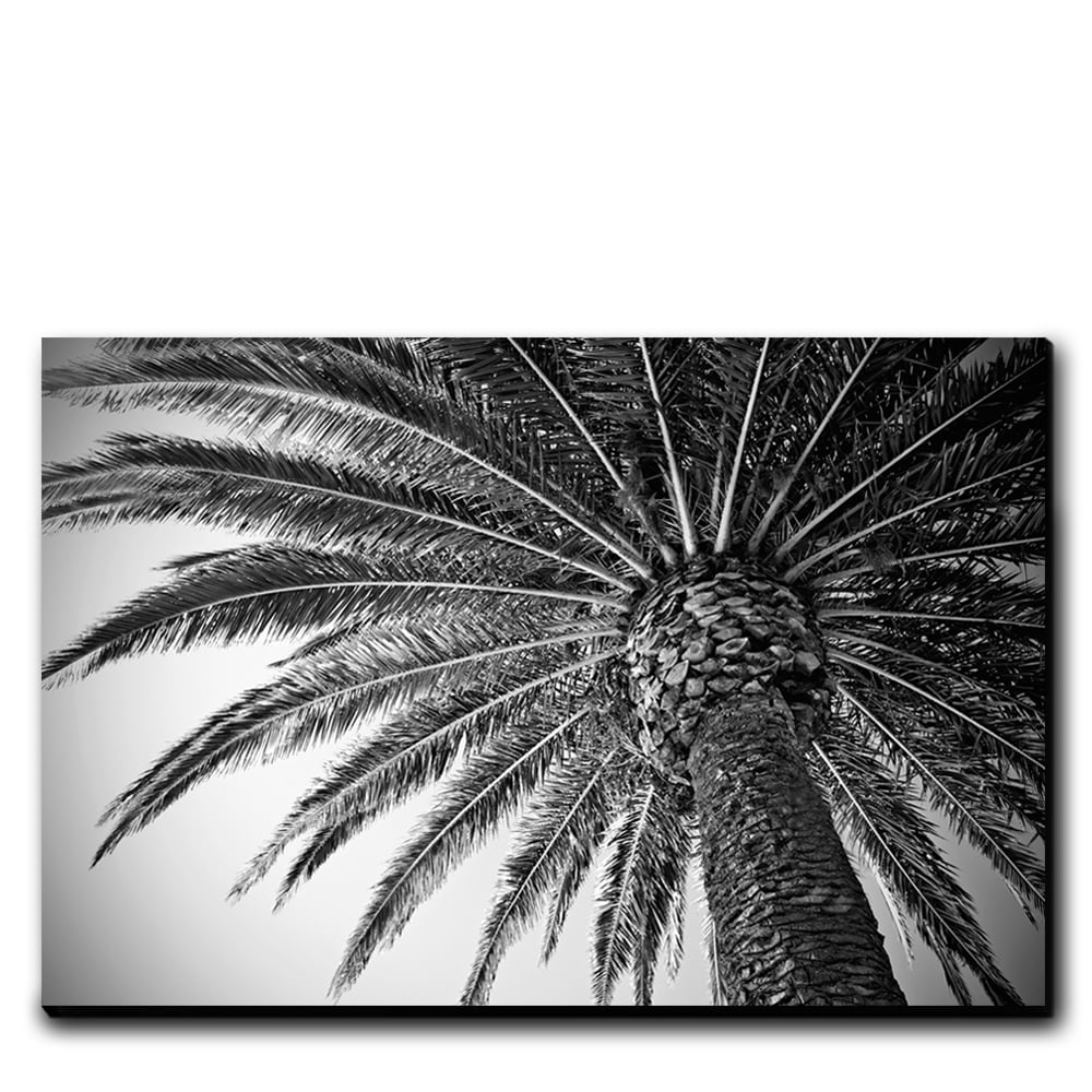 Image of PALM VIBES